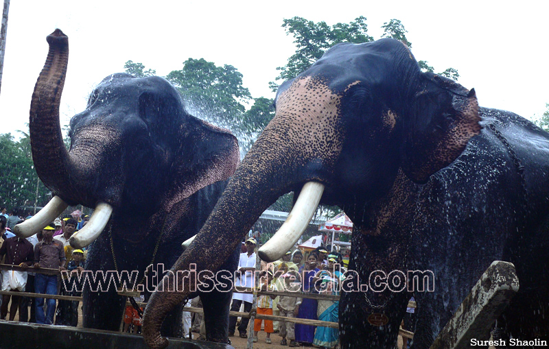 thrissur-pooram-2011- (19)